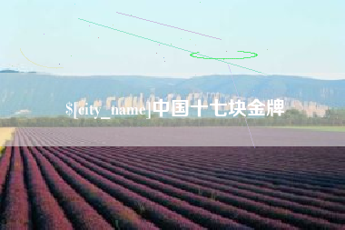 新安中国十七块金牌