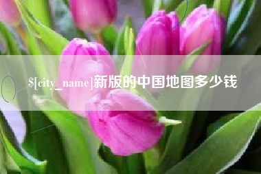 新安新版的中国地图多少钱