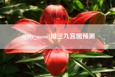 新安排三九宫图预测