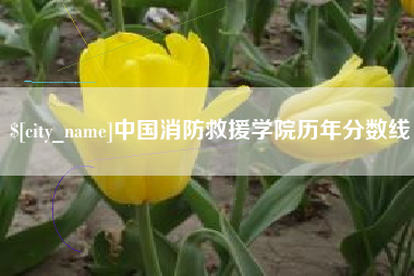 新安中国消防救援学院历年分数线
