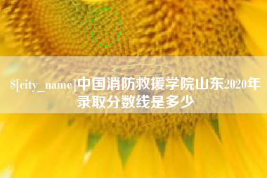 新安中国消防救援学院山东2020年录取分数线是多少