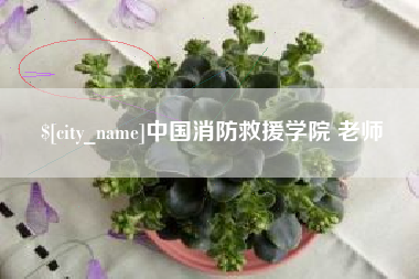 新安中国消防救援学院 老师