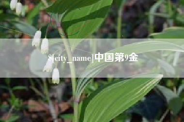 新安中国第9金