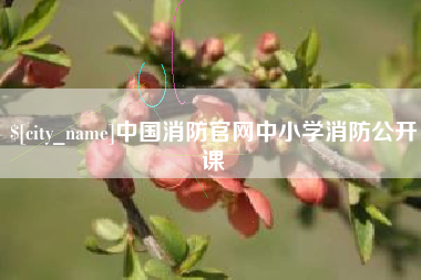 新安中国消防官网中小学消防公开课