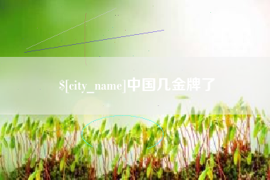 新安中国几金牌了