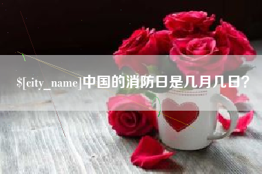 新安中国的消防日是几月几日？