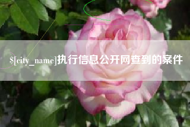 新安执行信息公开网查到的案件