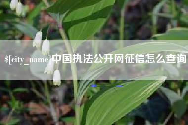 新安中国执法公开网征信怎么查询