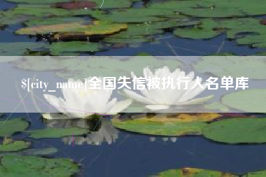 新安全国失信被执行人名单库