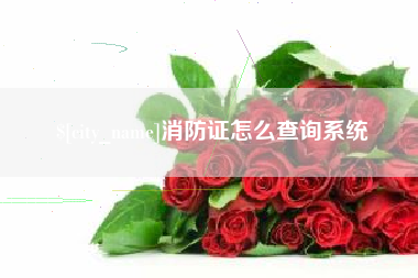 新安消防证怎么查询系统