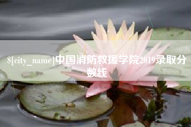 新安中国消防救援学院2019录取分数线