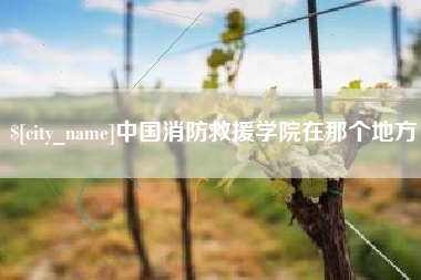 新安中国消防救援学院在那个地方