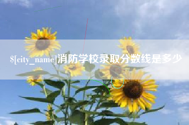 新安消防学校录取分数线是多少