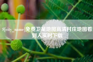 新安免费卫星地图高清村庄地图看到人实时下载