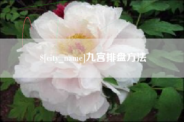 新安九宫排盘方法