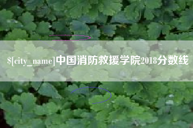 新安中国消防救援学院2018分数线