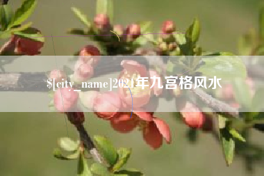 新安2021年九宫格风水