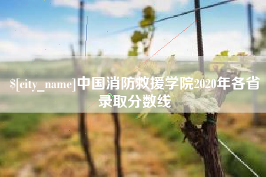 新安中国消防救援学院2020年各省录取分数线