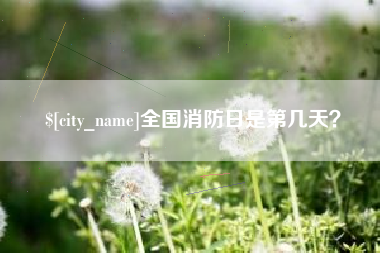 新安全国消防日是第几天？
