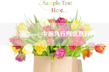 新安中国执行网信息官网