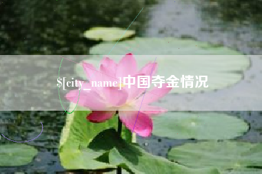 新安中国夺金情况
