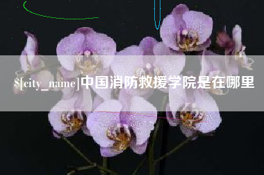 新安中国消防救援学院是在哪里