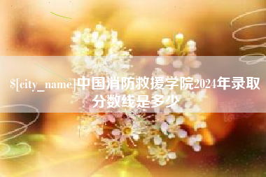 新安中国消防救援学院2024年录取分数线是多少