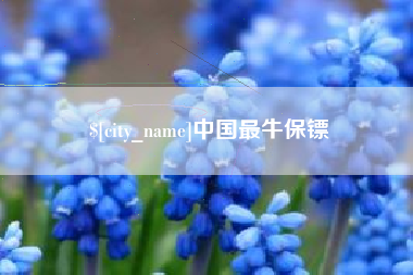 新安中国最牛保镖