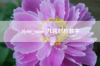 新安九宫对应数字