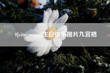 新安生日快乐图片九宫格