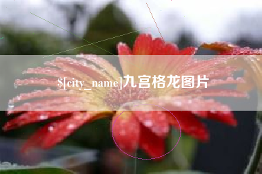 新安九宫格龙图片