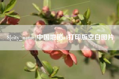 新安中国地图a4打印版空白图片