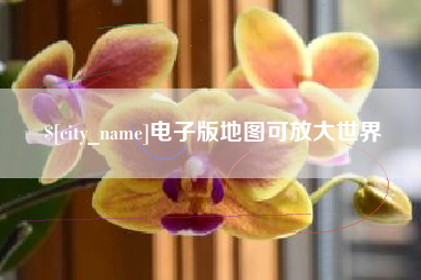新安电子版地图可放大世界