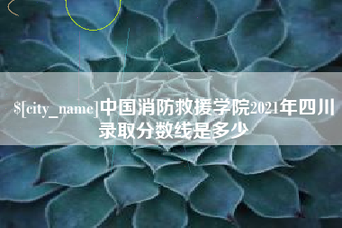新安中国消防救援学院2021年四川录取分数线是多少