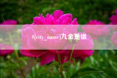 新安九金是谁