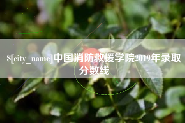 新安中国消防救援学院2019年录取分数线