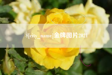新安金牌图片2021