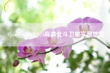 新安2024高清北斗卫星实景地图