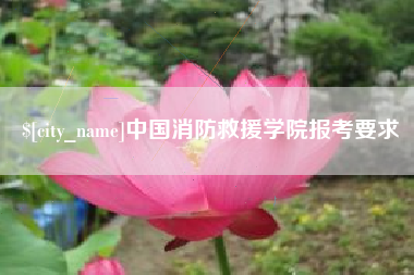 新安中国消防救援学院报考要求