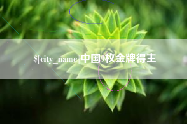 新安中国9枚金牌得主