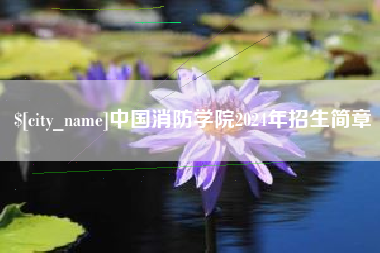 新安中国消防学院2024年招生简章