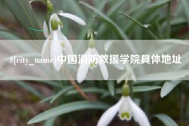 新安中国消防救援学院具体地址