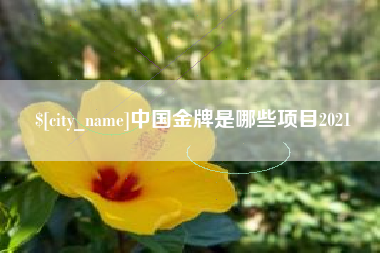 新安中国金牌是哪些项目2021