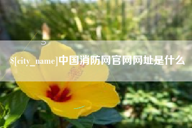 新安中国消防网官网网址是什么