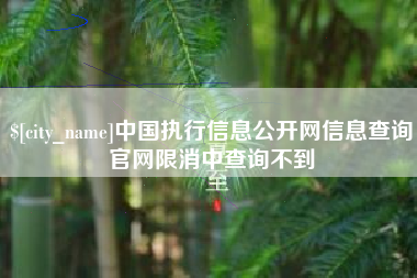 新安中国执行信息公开网信息查询官网限消中查询不到