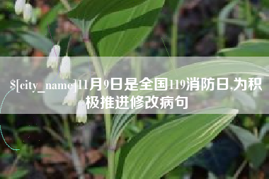 新安11月9日是全国119消防日,为积极推进修改病句
