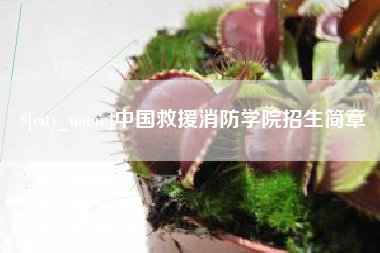 新安中国救援消防学院招生简章