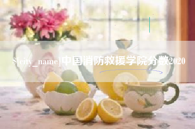 新安中国消防救援学院分数2020