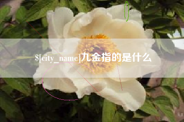 新安九金指的是什么