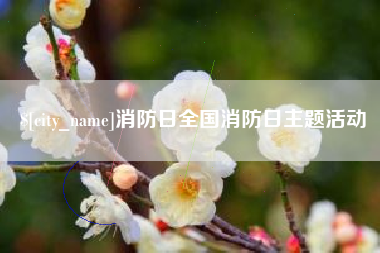 新安消防日全国消防日主题活动